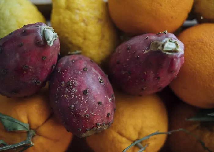 Gran Cancelliere ベッド・アンド・ブレックファスト