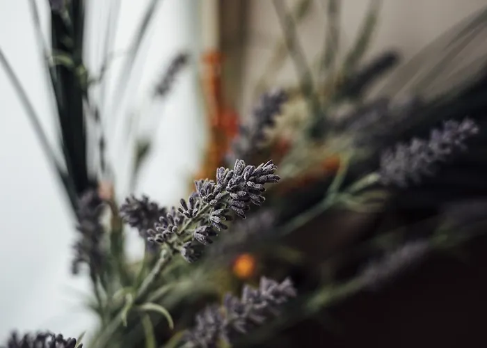 Gran Cancelliere ベッド・アンド・ブレックファスト パレルモ