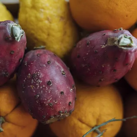 Gran Cancelliere Bed & Breakfast