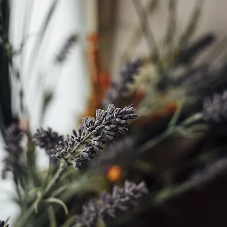 Gran Cancelliere Bed & Breakfast Palermo